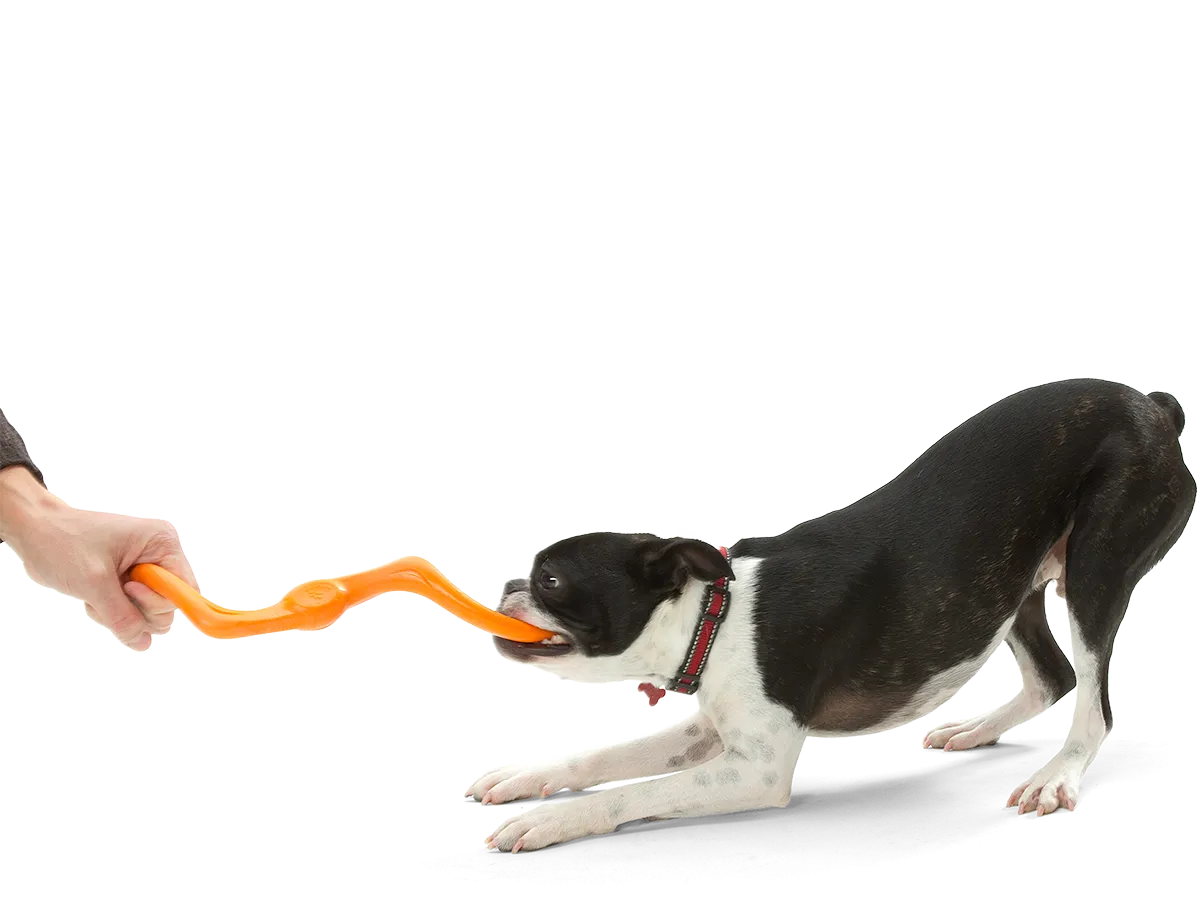 Bumi Dog Tug Toy
