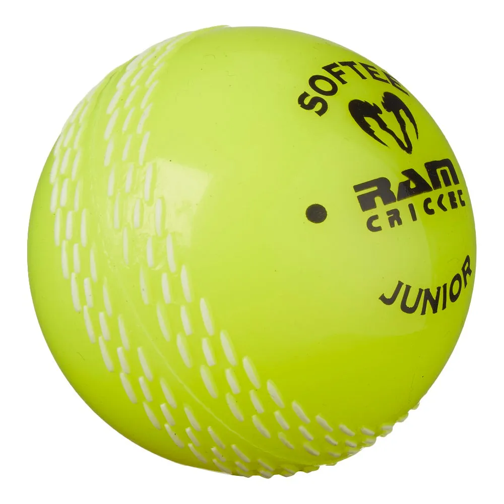 Custom Coaching Balls - 8 week delivery