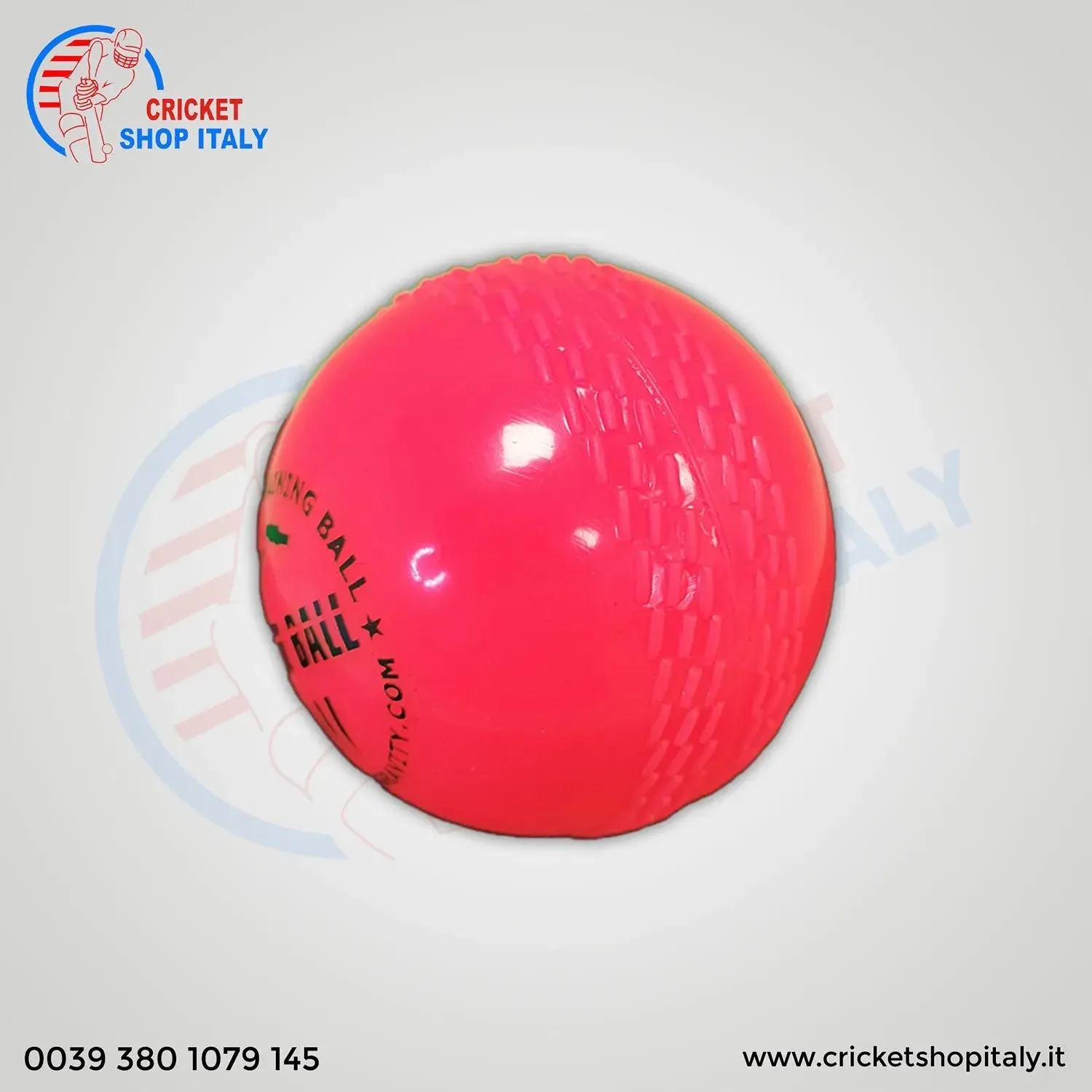 DS Wind Cricket Ball Pink ( 6 balls pack)