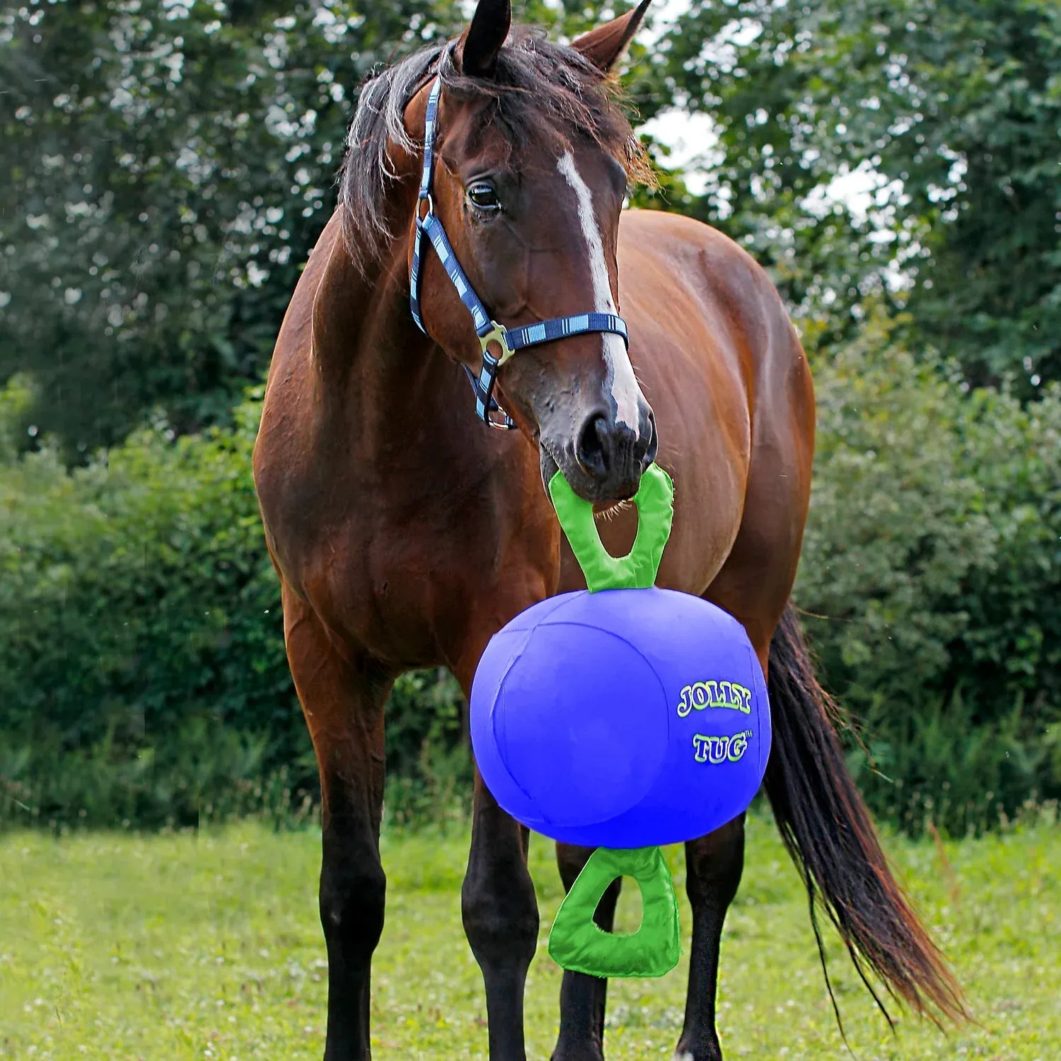 Horsemen's Pride Jolly Tug